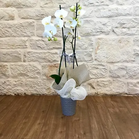 Panzió Sant'agostino 3*